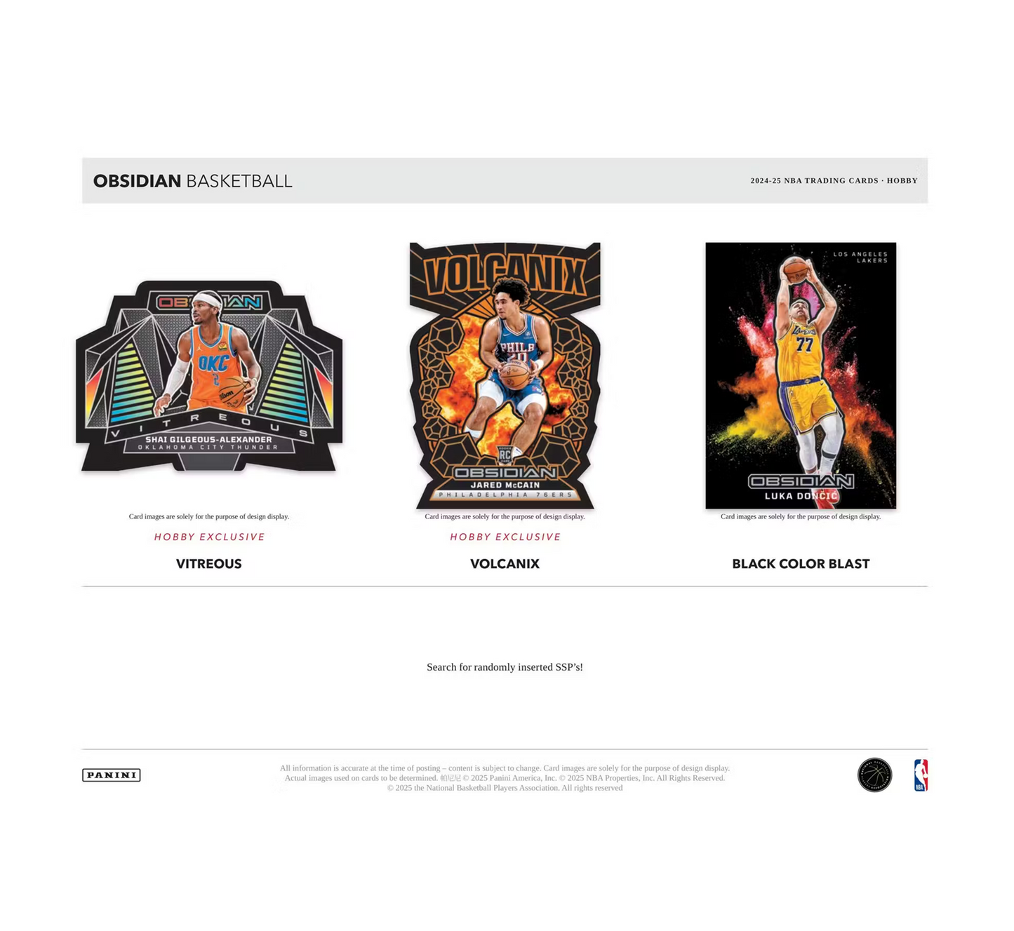 2024-25 Panini Obsidian Basketball Hobby 12-Box Case
