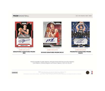 2024-25 Panini Prizm Basketball Hobby 12-Box Case